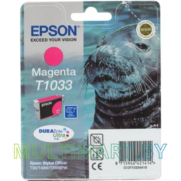 Картридж Epson C13T10334A10